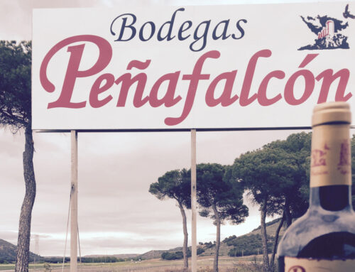 Bodega Peñafalcón – Tradición y excelencia en la Ribera del Duero